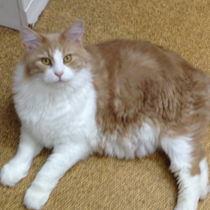 3073c96e 7e0e 4723 8cd3 b5d814a43191