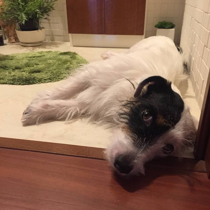 30742398 d034 4b1e a16c b5aa57cd9870