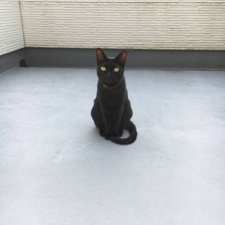 307450fe 3512 4872 b8be 81bd82641280