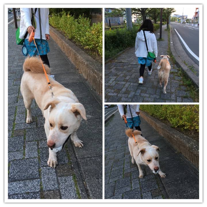 3074ee26 f9f4 4826 b301 9c006f028fc6