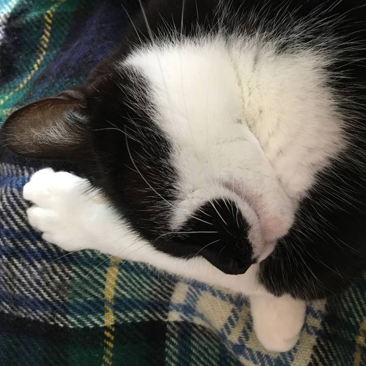 30753f10 9e65 4ad4 bd2e 566e5d746edb