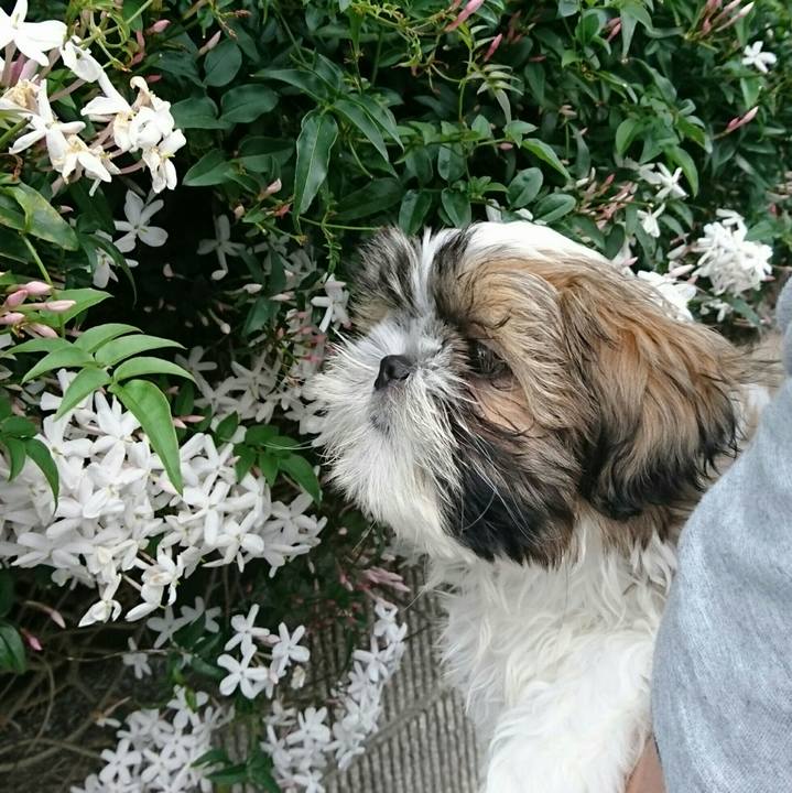 30754efc 7e93 47df b150 048db07d7c74