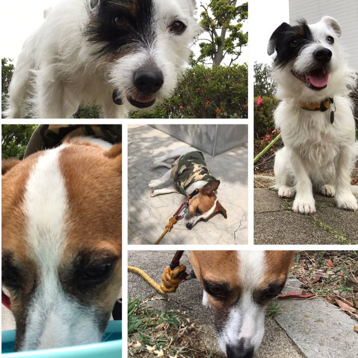 3075c23d 8d02 4325 94aa 79a5011dedff