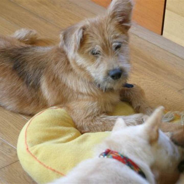 30762845 4310 45a3 802f 121c3e8b8130