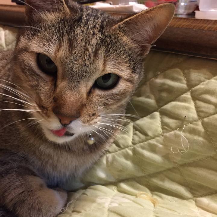 307671eb b2c4 4c83 9a21 1b5daf70927b