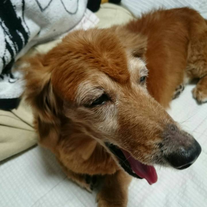 30768487 3855 4ecb a16f a01cf1d96f6d