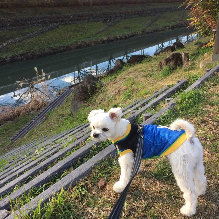 3076c58f d524 4afe b3b6 f370185f236f