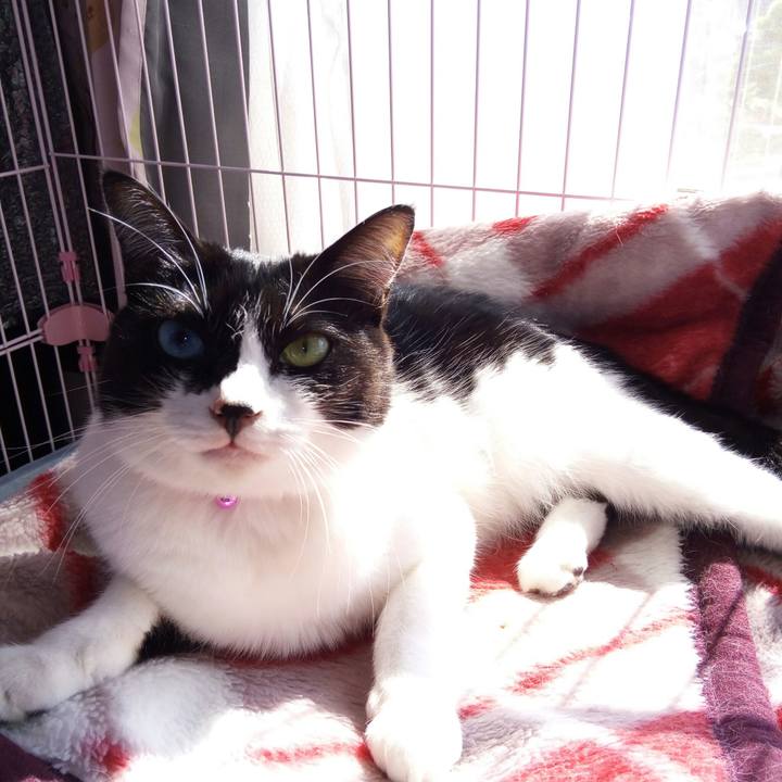 3077312d 61c7 4532 92d9 7edd38a8bffc