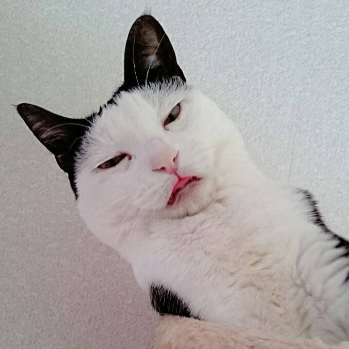 3077a960 4127 445e b2bb feeac1e42973