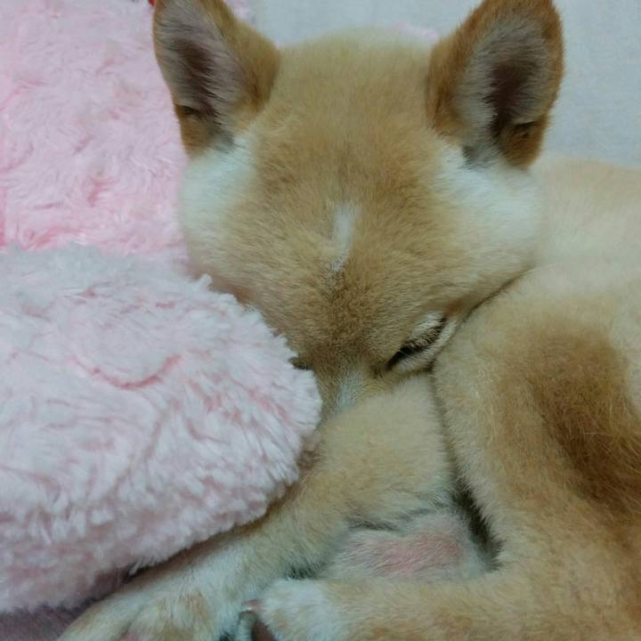 3077d9fe 471b 4534 b762 10dffdc27aad