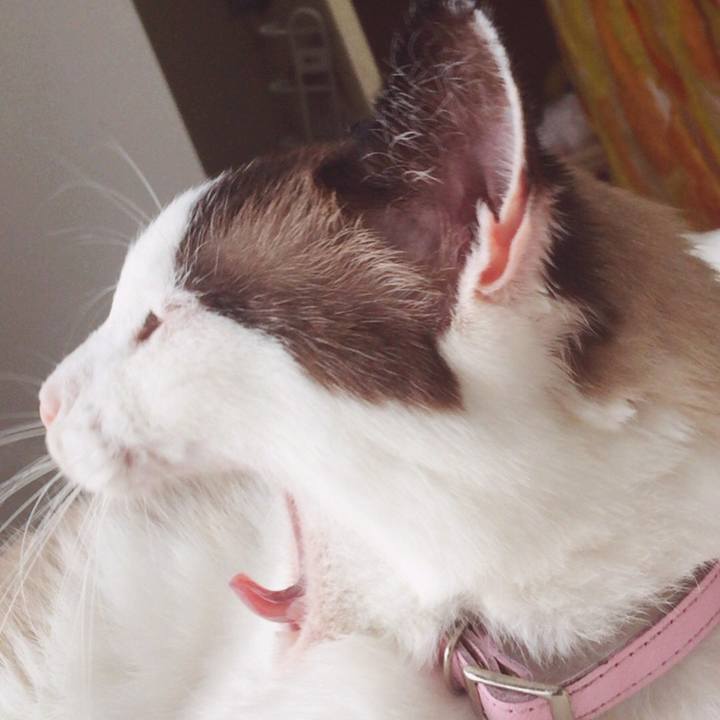 3078929e 40f2 443d 9a51 7ddcaeedc92f