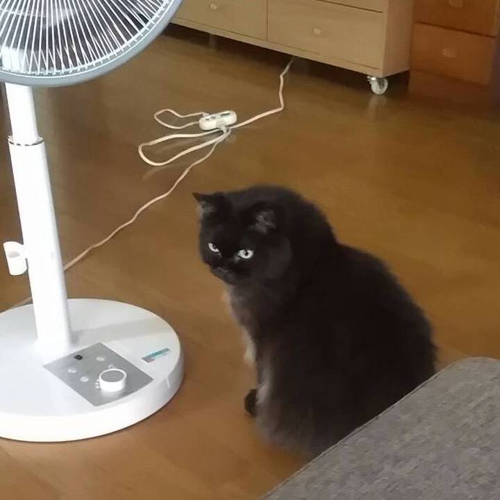 307922be 5107 489c 8853 0a210533bcdf