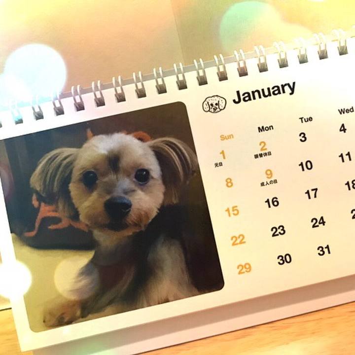 30792d57 9a03 4cb6 91a3 cd928b697747