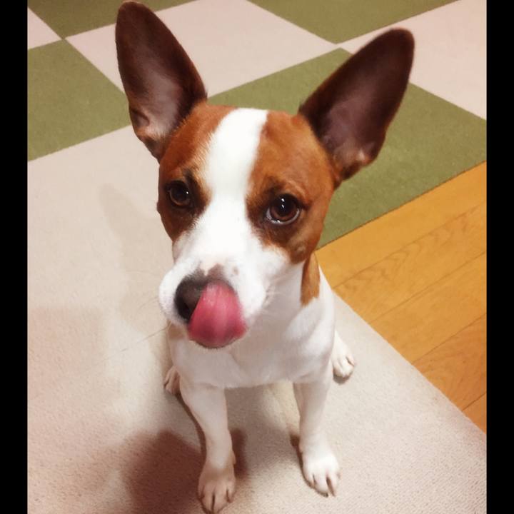 30796a1d 9854 4256 8810 16319a5257c6