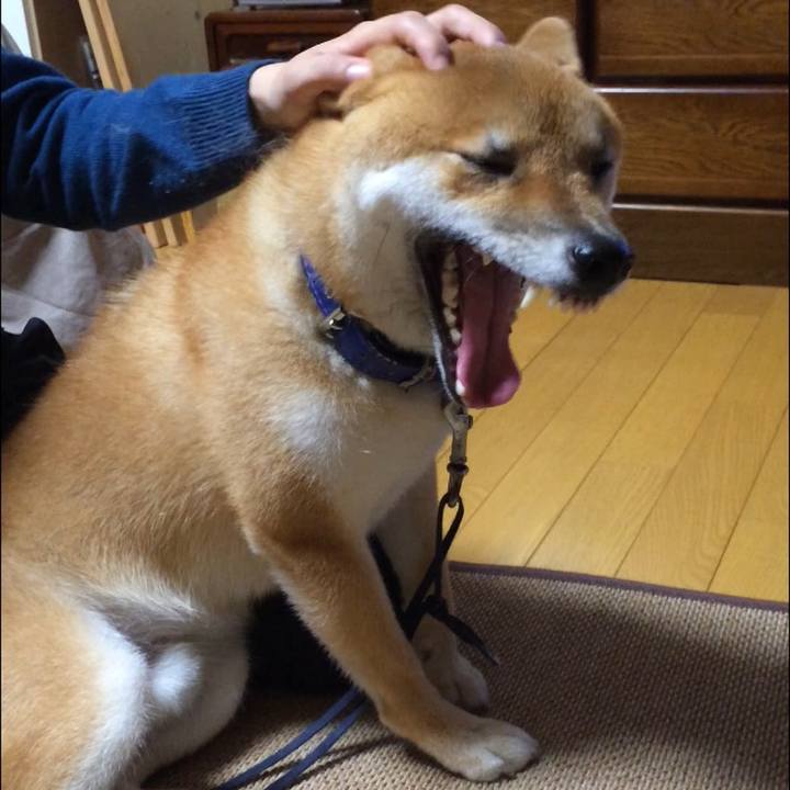 3079bdde dae9 4c7c a7e1 6feabf1448ac