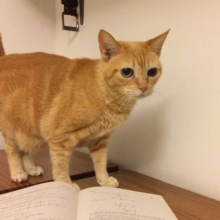 307b4619 c056 4168 924d b629647d322b