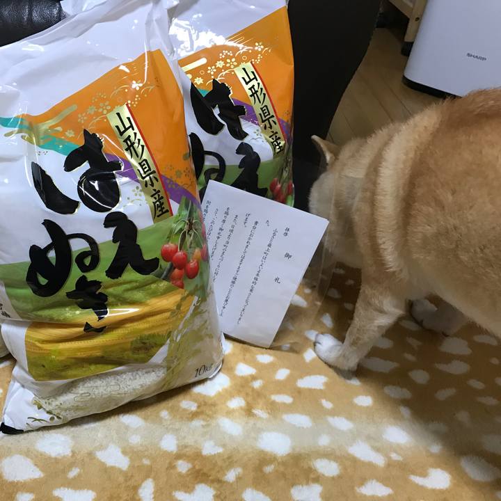 307c6dbb f1f0 4c94 b652 21dd38b256f4