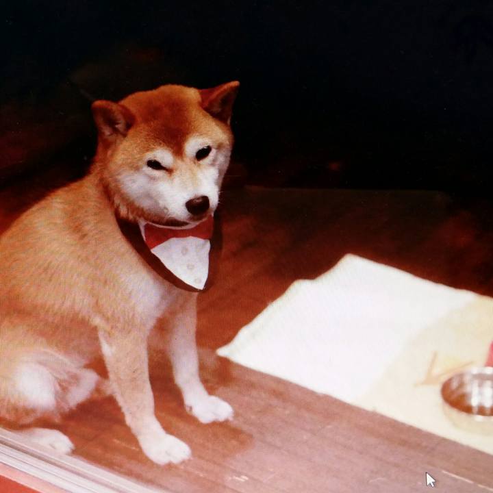 307c9761 8def 4a00 b22b daac10651edf