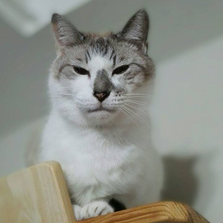 307cc7fd 0e8e 4de2 9264 30fe650f1867