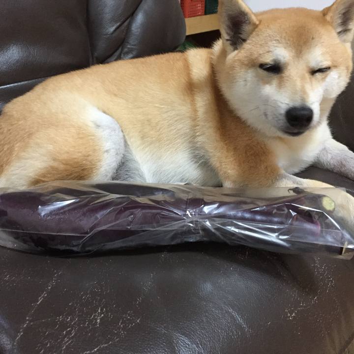 307e1ed4 206f 4644 a4a1 070199c5758a