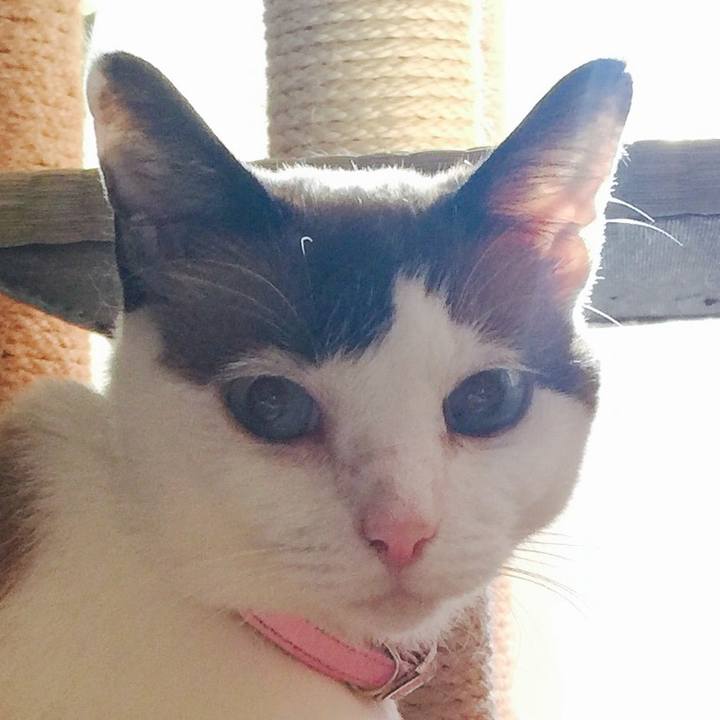 307e75f3 03c2 4bad 91d6 d407a845a1ec