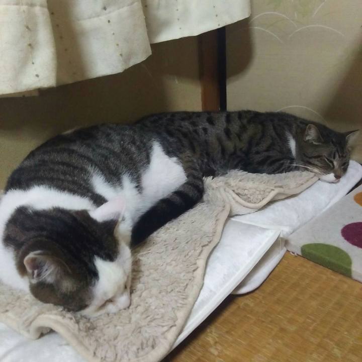 307ed047 cd3f 48e7 beac d68ac81fe63c