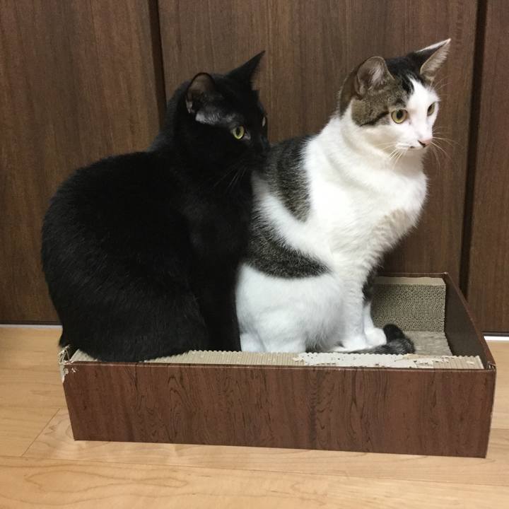 307eec84 ba71 42dd b615 1852745a03fc