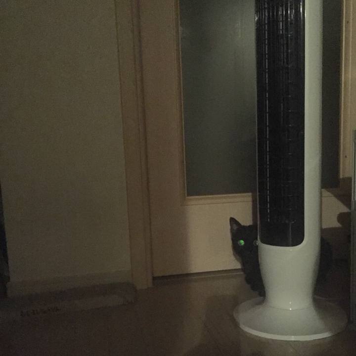 307f66c9 a020 499d b000 f28163d4e546