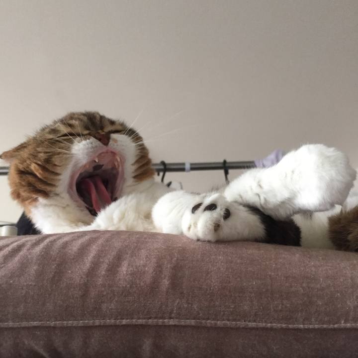 307f6cbe 2123 4a6b b3e4 ab22ecec55b0