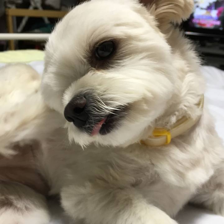 307f78d6 b2d1 4064 b175 9fa057d03799