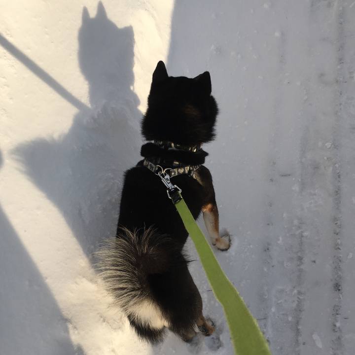 307fc684 63fd 429b ba4c e07b0cc3ddff