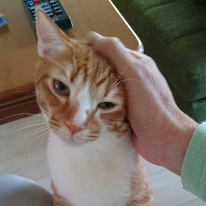 3080181c 63f6 49e6 940c 51fa1990c630