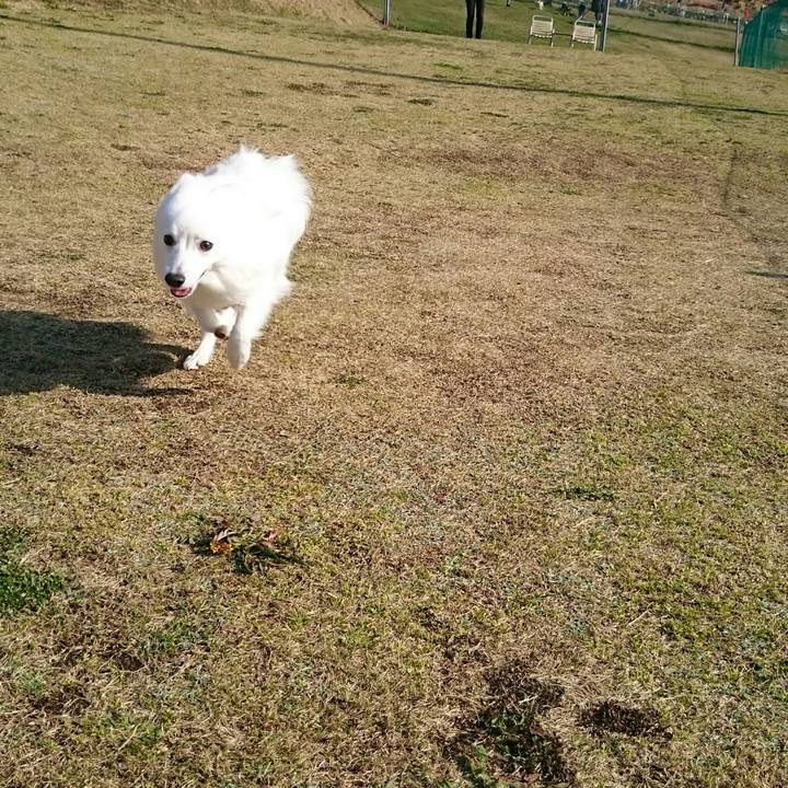 30809f80 3998 4af2 8acc ec5165d0fac8