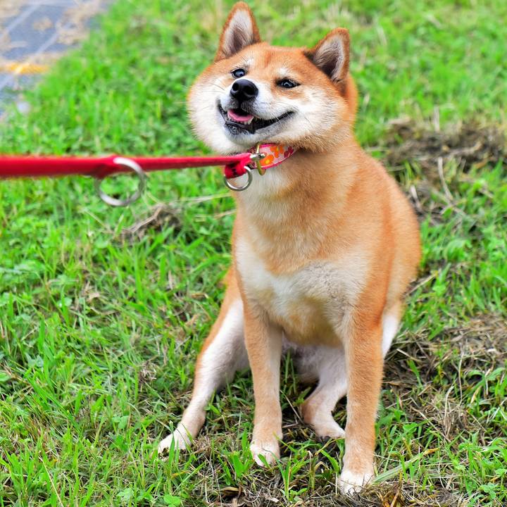 30811044 e59f 42b6 a0e0 d74020eebe2f