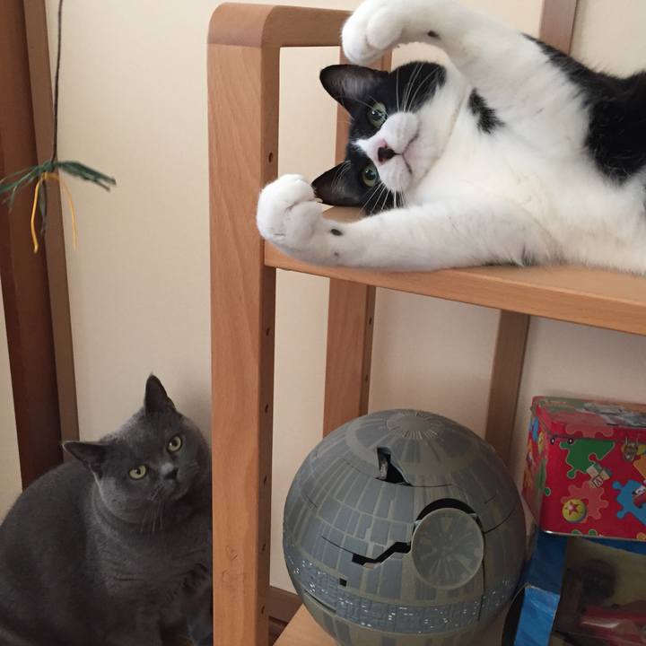 308124be f418 48fe b73b ebb64dd06440