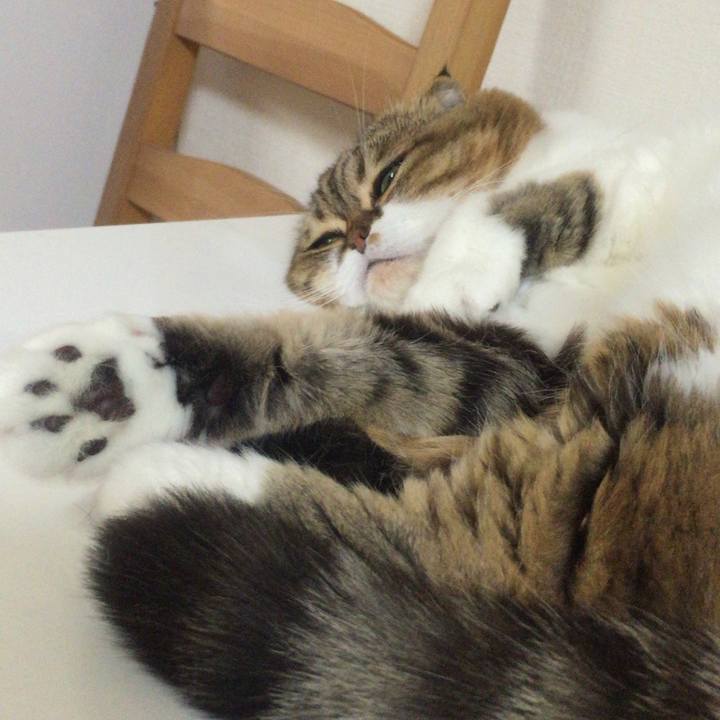 3081418c 8b42 43c8 a456 9c2864d32ea3