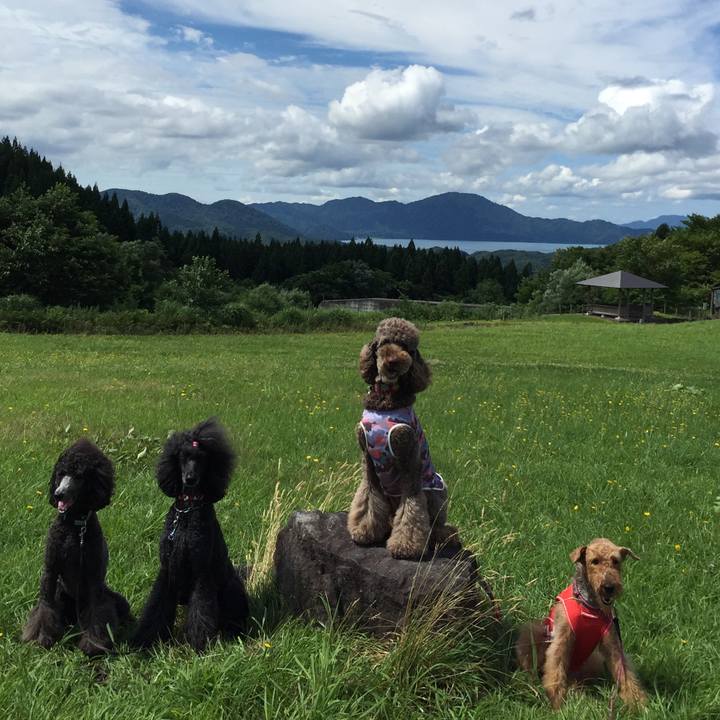 3081740f 1948 440c ab2e 5bf7318b9314