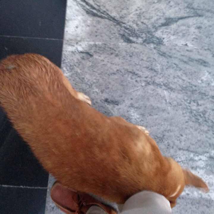 308175f3 e558 427b a1bd e0fa5cc362b4