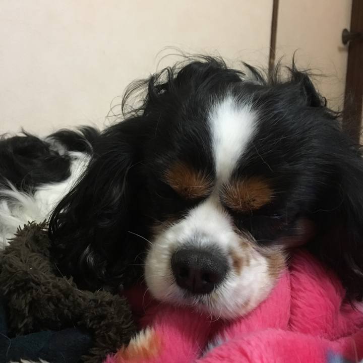 3081852d 2833 4e40 819c 39e29ae400dd