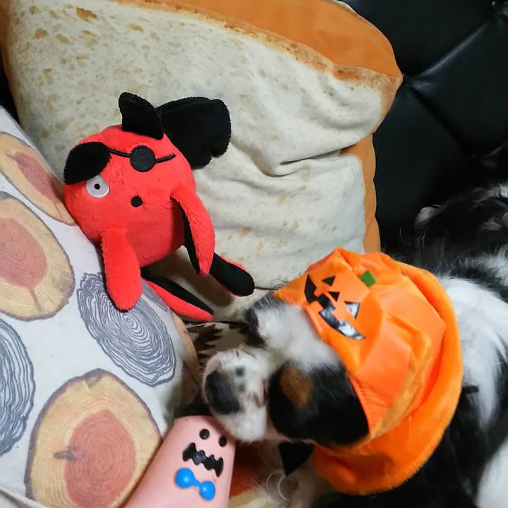 3081b6ef 2101 4e39 9fd1 8df3be8acfeb