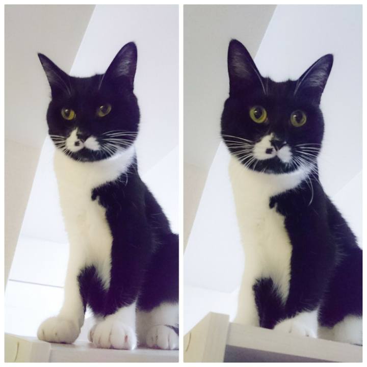 30821d8f 8c73 45aa b0d8 e256b827b6c5