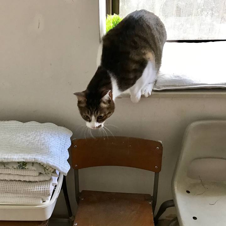 308254a8 b702 404e a5c1 a230cc171e92