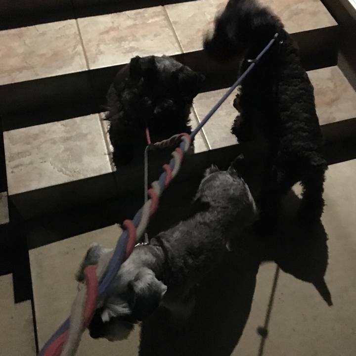 3082d624 b4fd 49a4 a0d3 0c0d367b2cb6