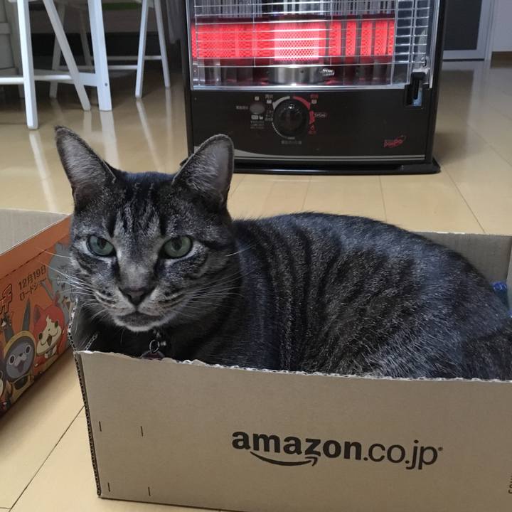 3083237f 0fa1 4b7d a1a0 915c6d02b2d5