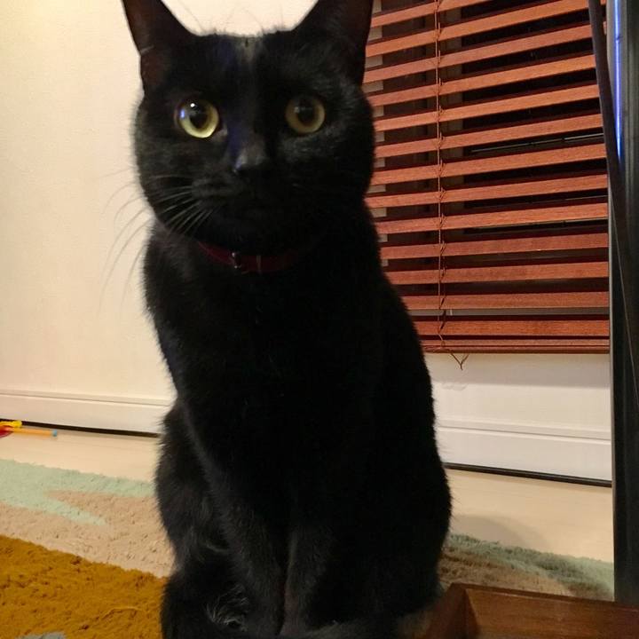 30837ab9 6913 4a36 933a 28f9d48c7ecc