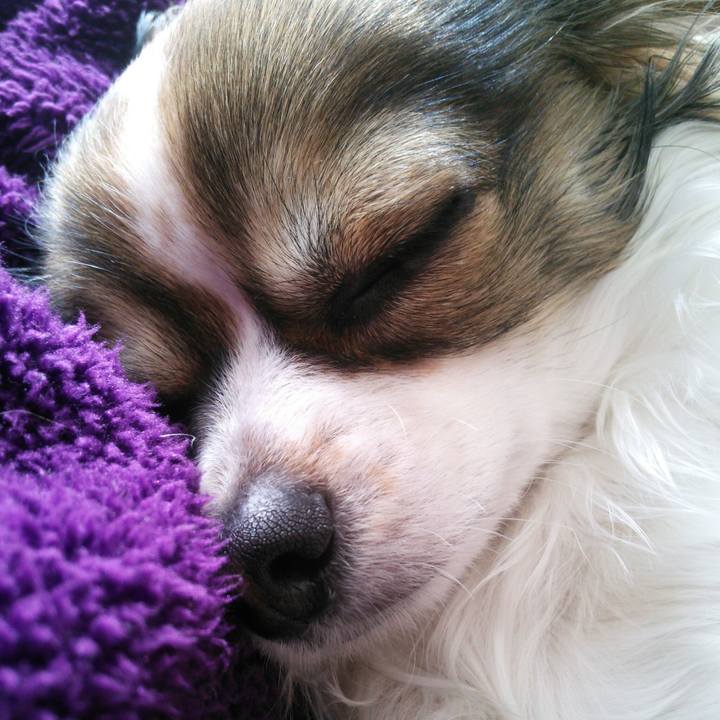 30839785 8ade 454d 9f25 3d6488b767d1