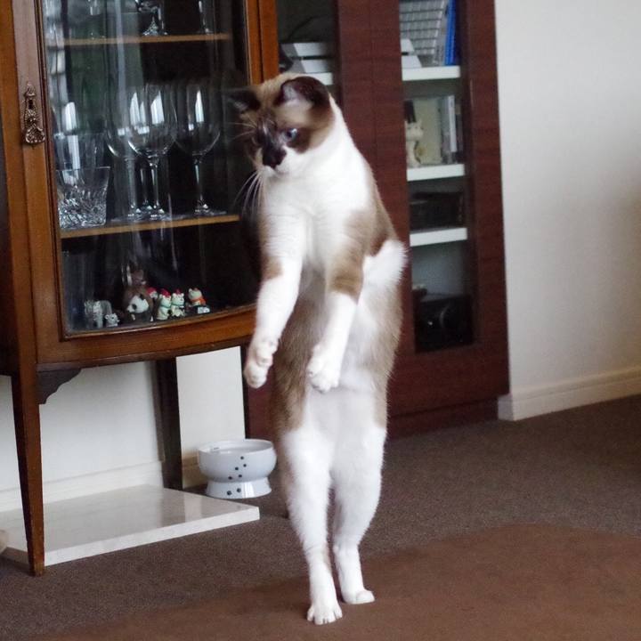 3083ac5a 7b65 416e bf4c 391c1c579099