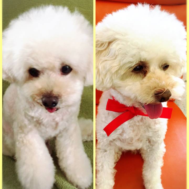 3083bbeb a85b 4f45 a896 3d019efa331a