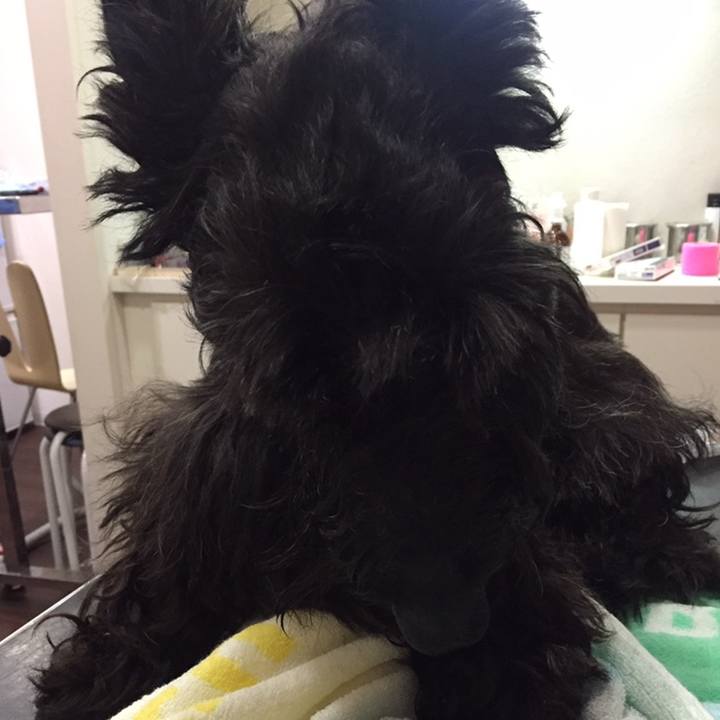 3083dbf9 708c 4ca3 abf0 52d835759329