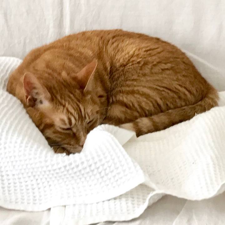 30840267 b02e 4078 bbc3 10b9fc768763